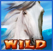 Wild Spirit Spielautomat Wild